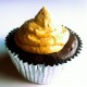 Chocolate Cupcake Pumpkin Icing