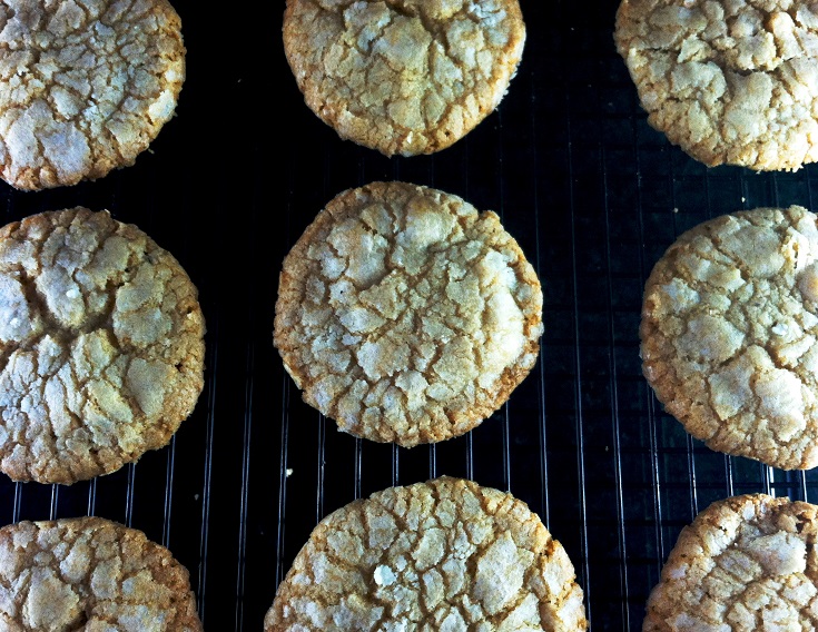 Mexican Polvorones (Wedding Cookies)