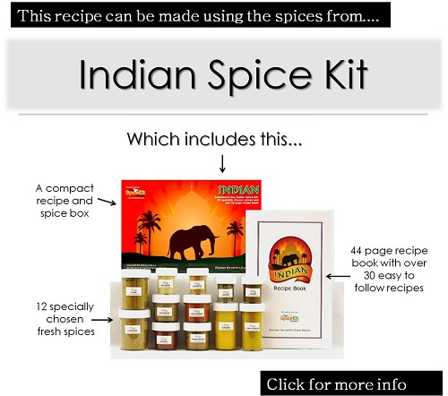 The Spice Kit Company- Indian Spice Kit