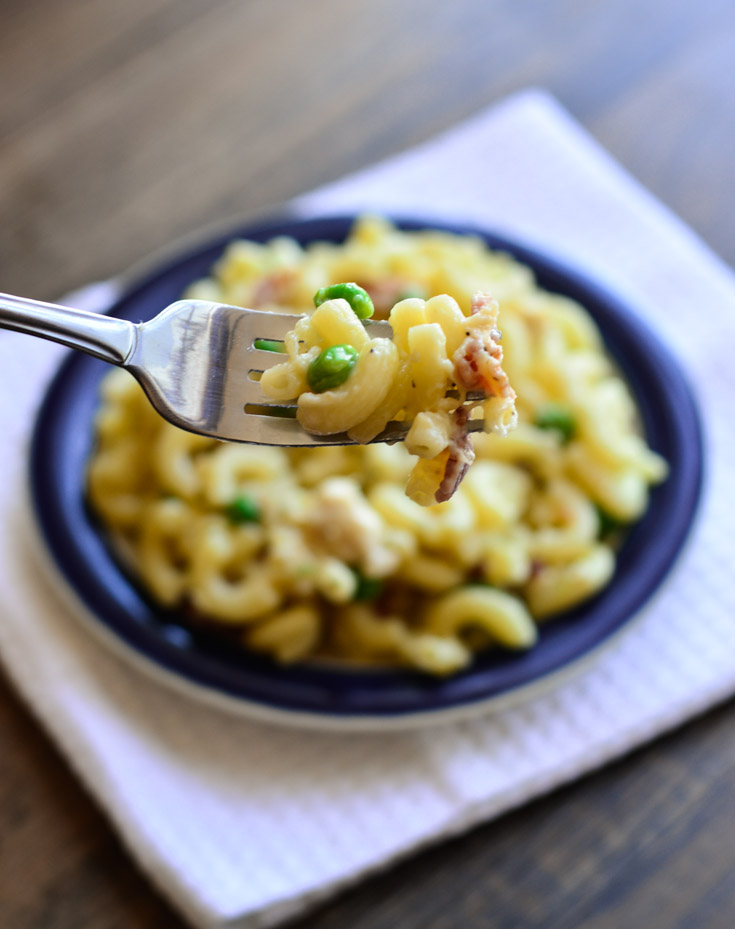 Havarti, Dill and Yogurt Pasta with Peas, Bacon, and Chicken- The Spice Kit Recipes (thespicekitrecipes.com)