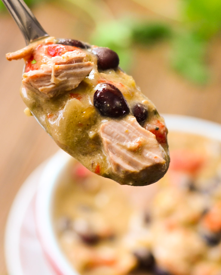 Easy, Cheesy, Pork Guiso Verde with Red Pepper and Black Beans - The Spice Kit Recipes (www.thespicekitrecipes.com)