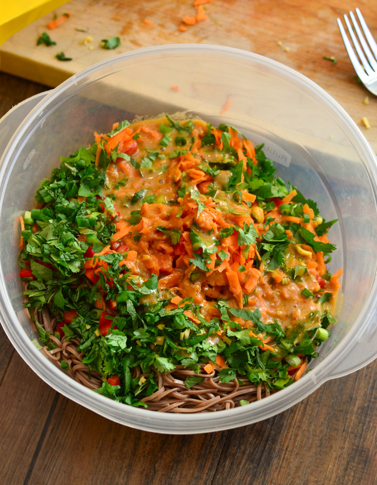 Soba Noodles with Hummus Dressing + FREE Hummus Recipe Ebook - The Spice Kit Recipes (www.thespicekitrecipes.com)