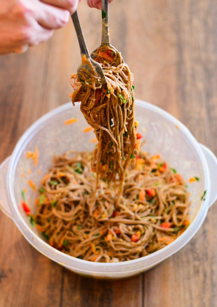 Soba Noodles with Hummus Dressing + FREE Hummus Recipe Ebook - The Spice Kit Recipes (www.thespicekitrecipes.com)