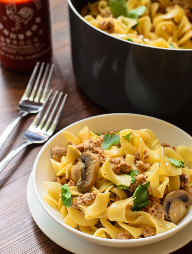 Creamy Sriracha Turkey, Mushroom, and Noodle Bowl- The Spice Kit Recipes (www.thespicekitrecipes.com)