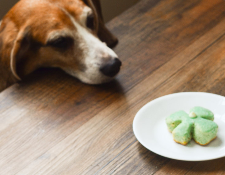 Shamrock Pistachio Cookies with Bailey's Irish Cream Glaze 